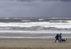 OliwiaBegezathe-dog-on-the-beach-scaled-e1693561677683